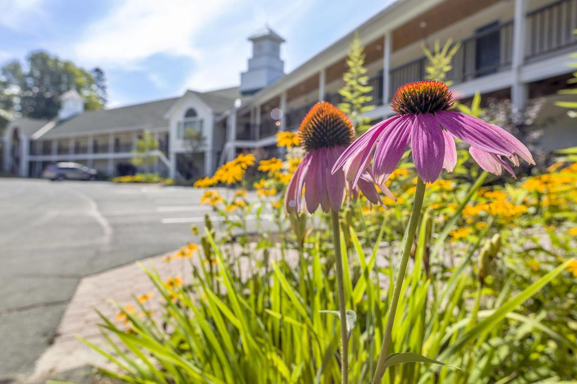 Fairbanks Inn Saint Johnsbury Kültér fotó